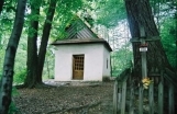 Święta Katarzyna