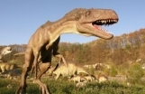 On the Route of Turtle and Dinosaur