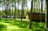 Bartek
