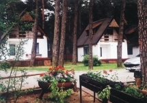 Ptaszyniec