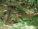 Góra Żakowa