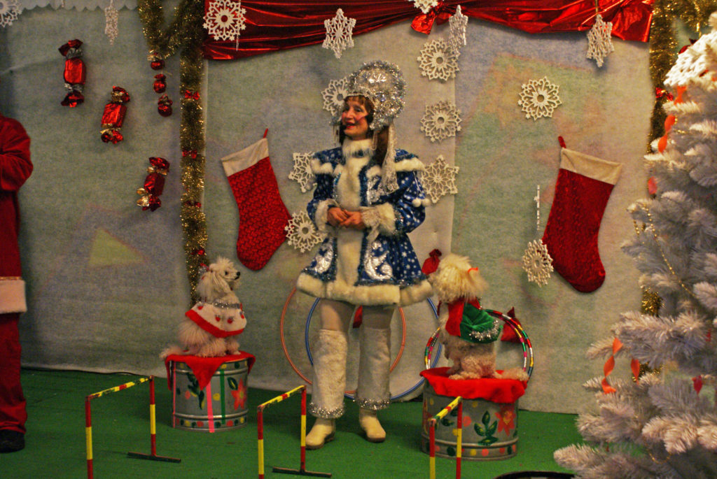 Wioska św. Mikołaja w Bałtowie