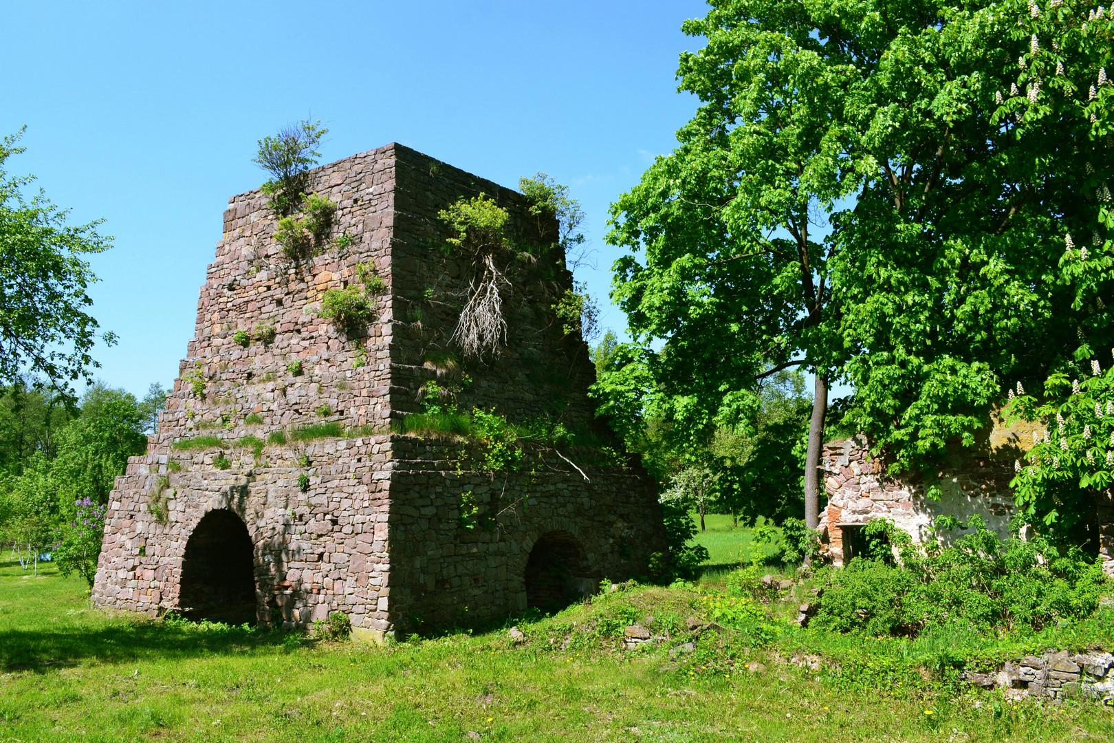Ruiny wielkiego pieca w Kuźniakach