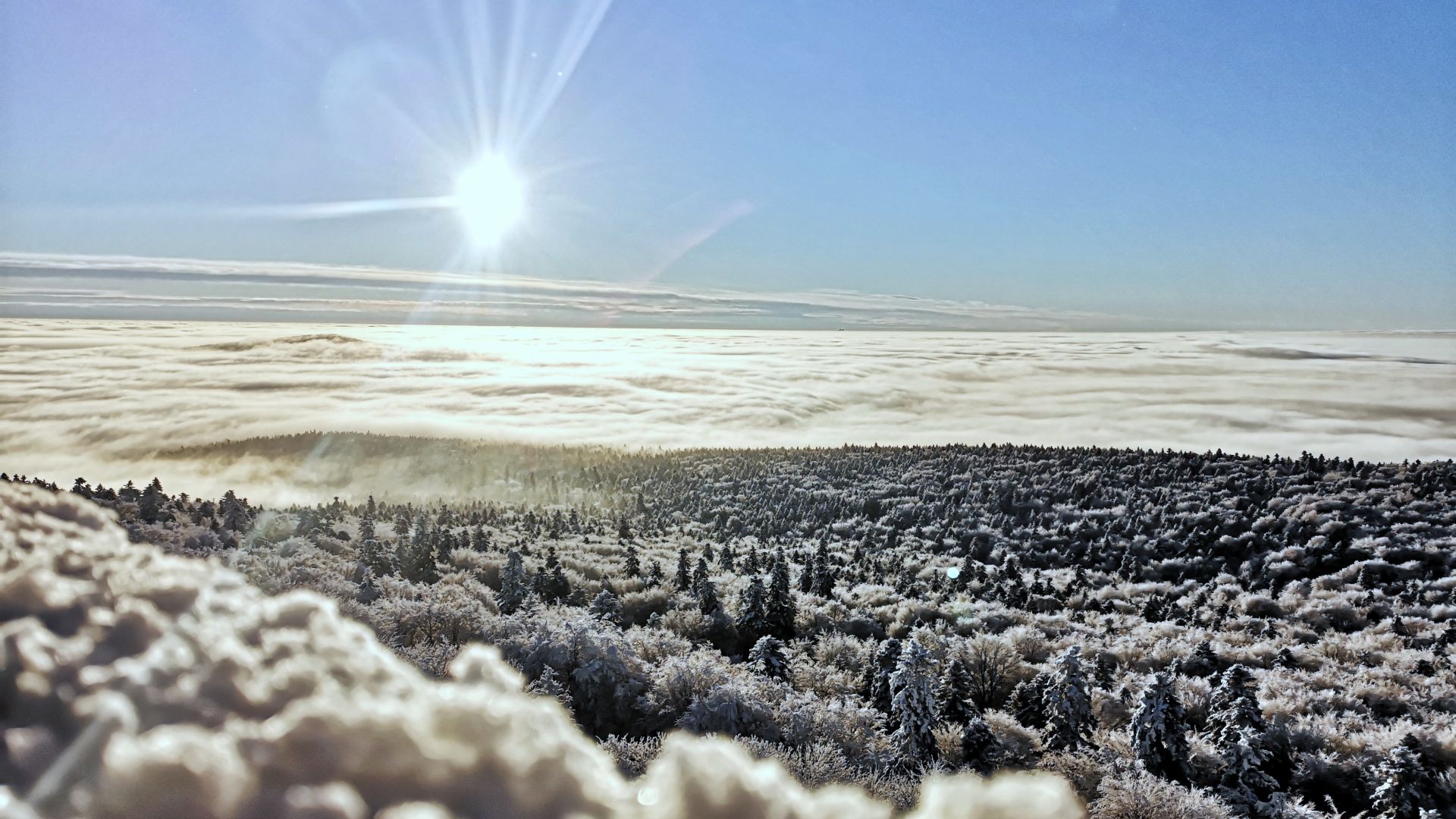 Zima w Górach Świętokrzyskich