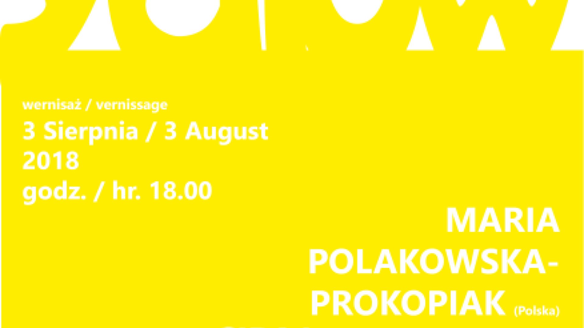 Wystawa "Yellow"- Siraj Saxena (Indie) i Maria Polakowska-Prokopiak w BWA Kielce