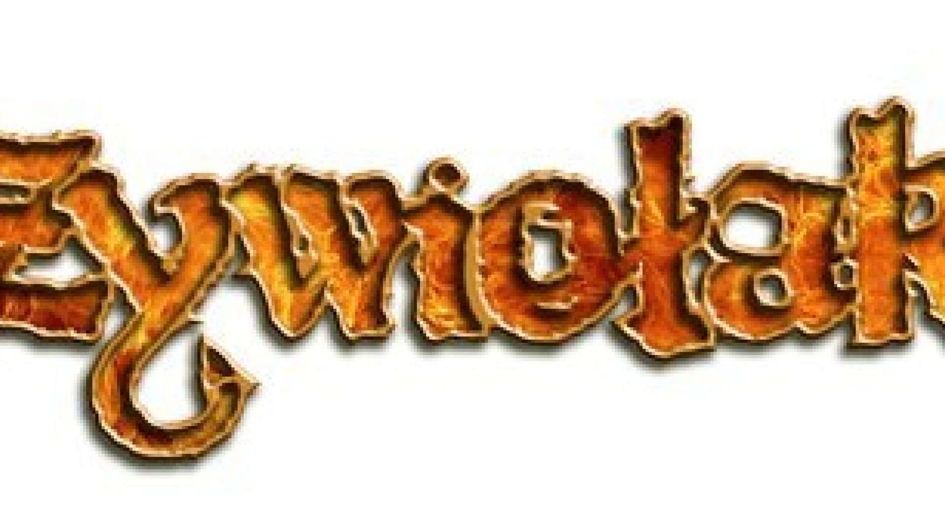 Koncert zespołu ŻYWIOŁAK w Pałacyku Zielińskiego