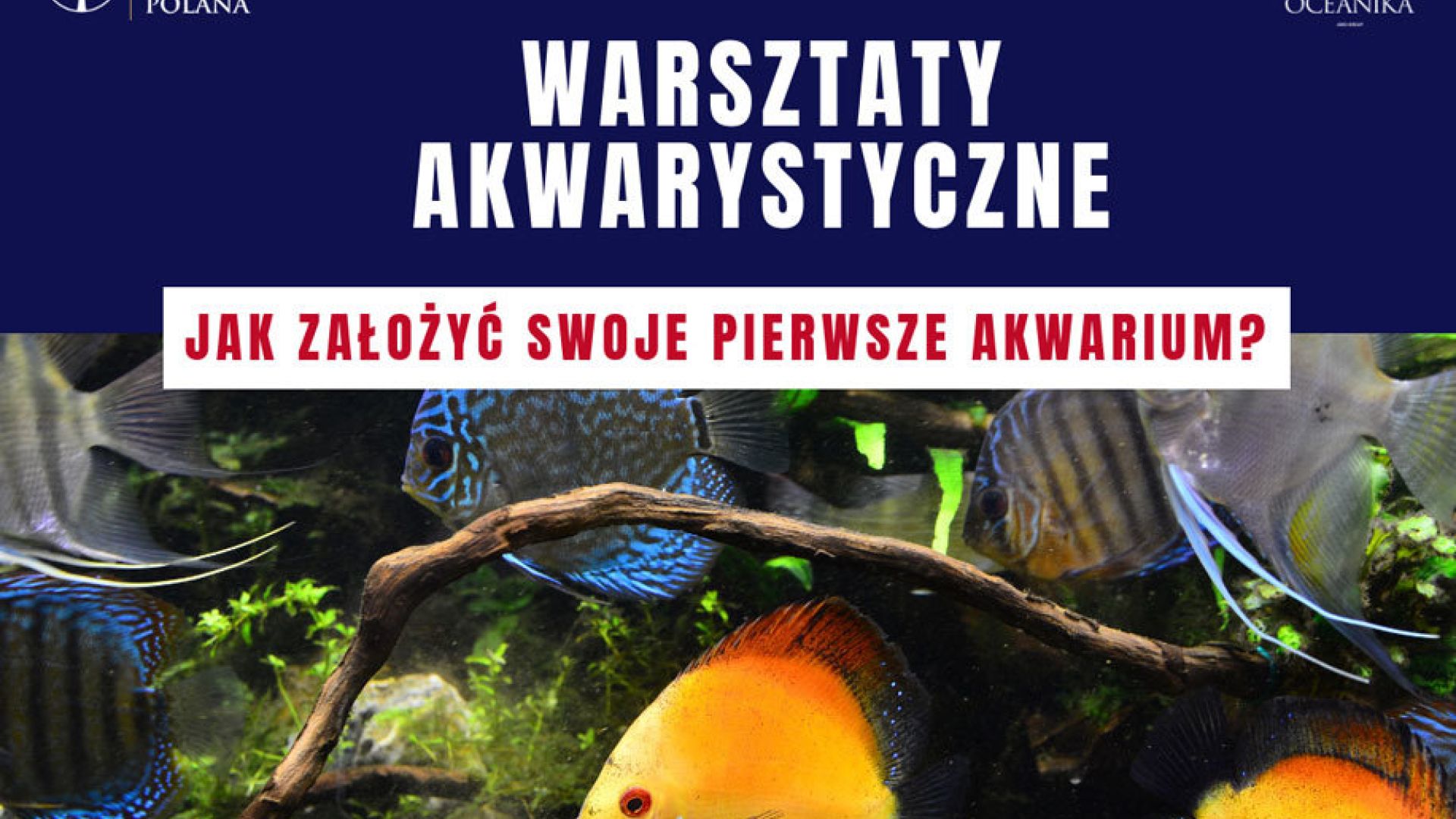 Warsztaty akwarystyczne na Świętokrzyskiej Polanie!