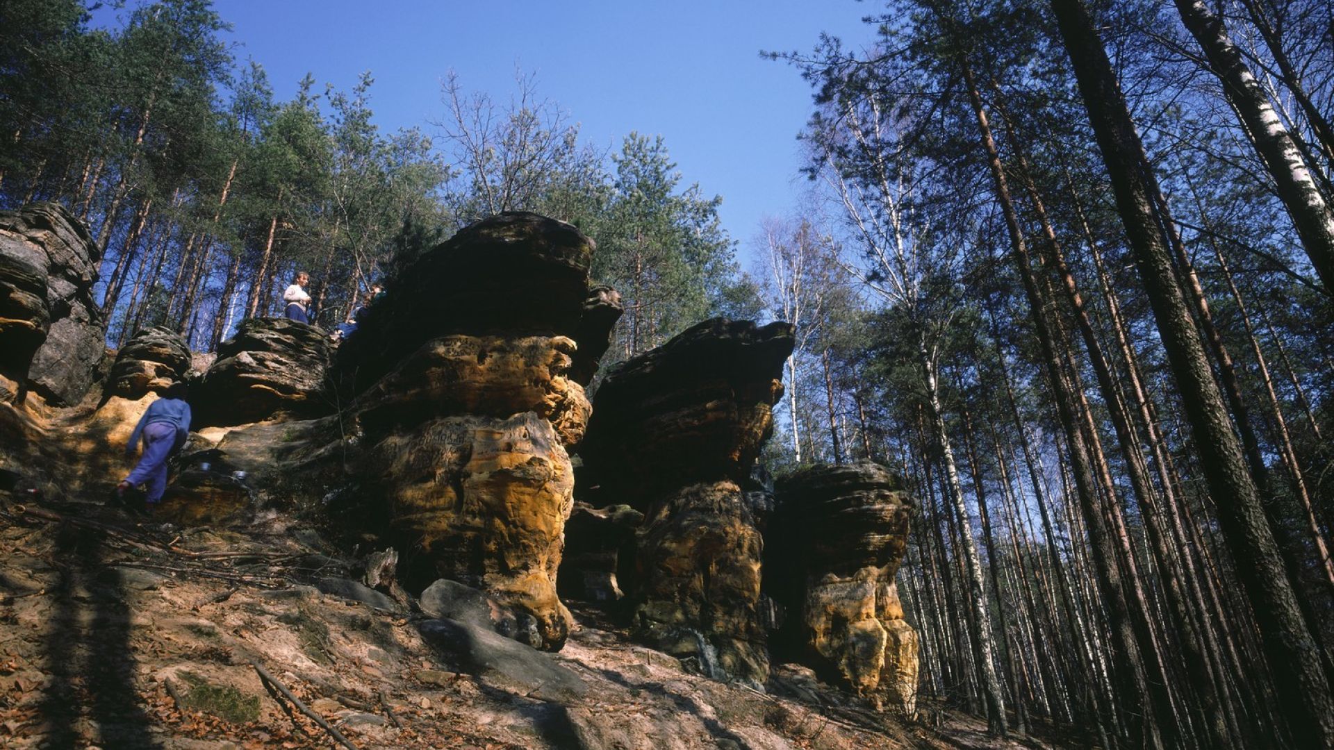 Höllenfelsen bei Niekłań