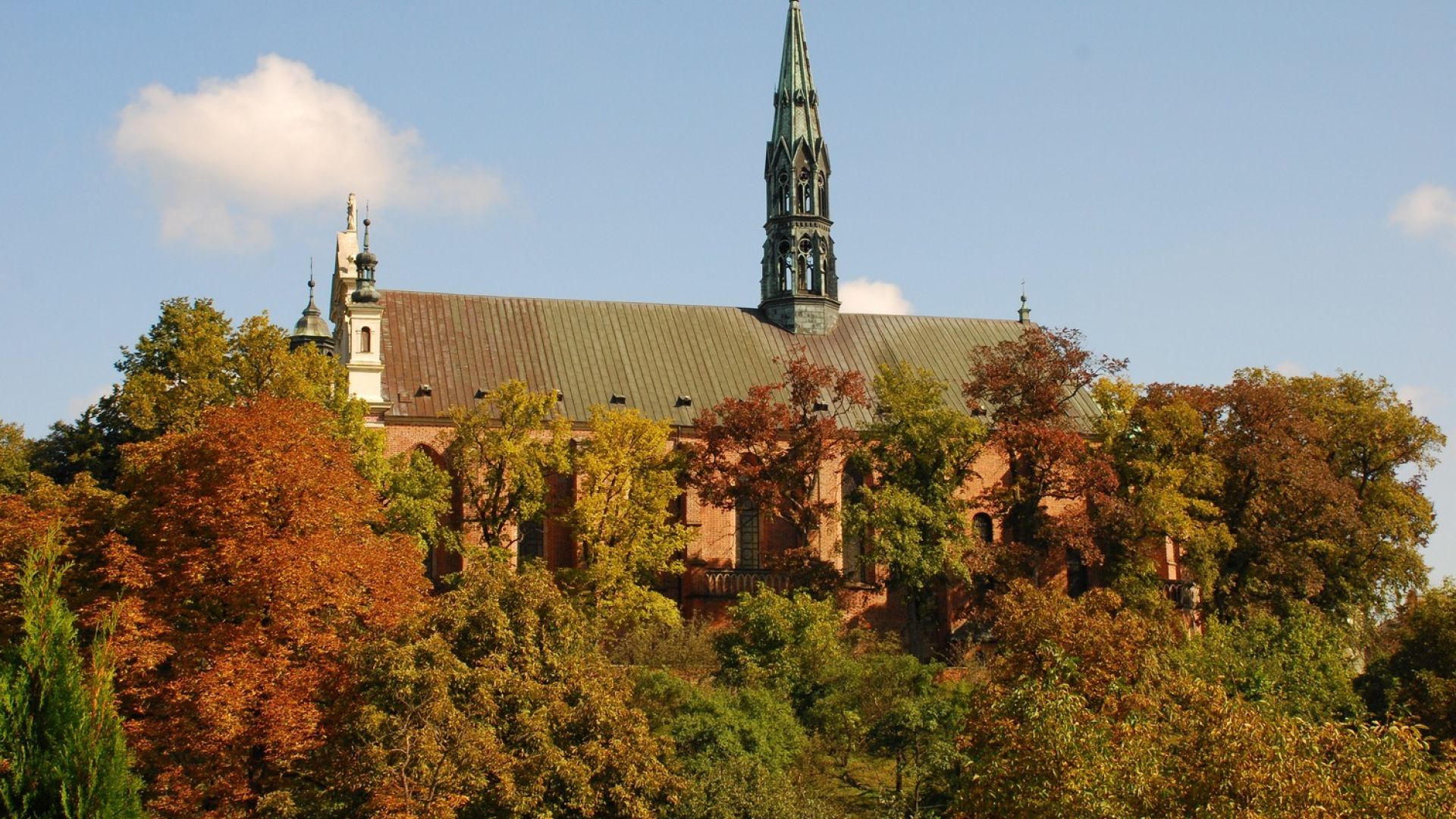Marienkathedrale in Sandomierz