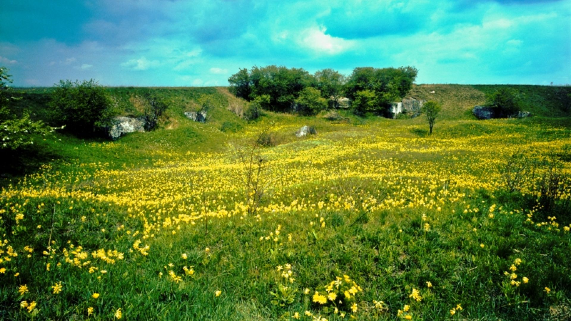 Landscape Parks