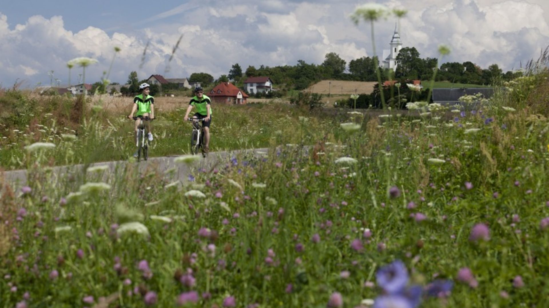 The Suchedniowsko-Oblęgorski Landscape Park – Primeval Forest and Industrial Heritage