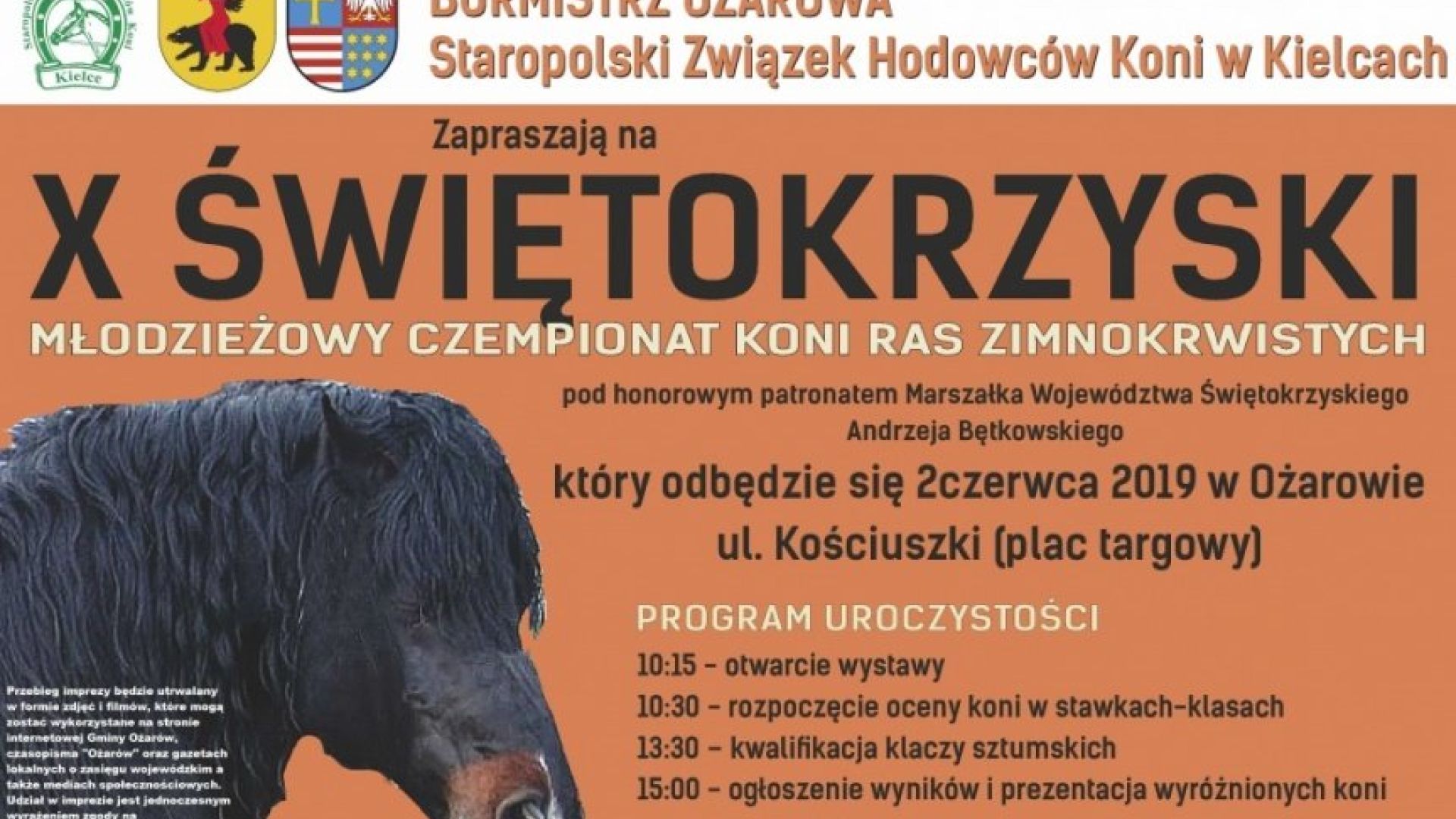 X Świętokrzyski Młodzieżowy Czempionat Koni Ras Zimnokrwistych