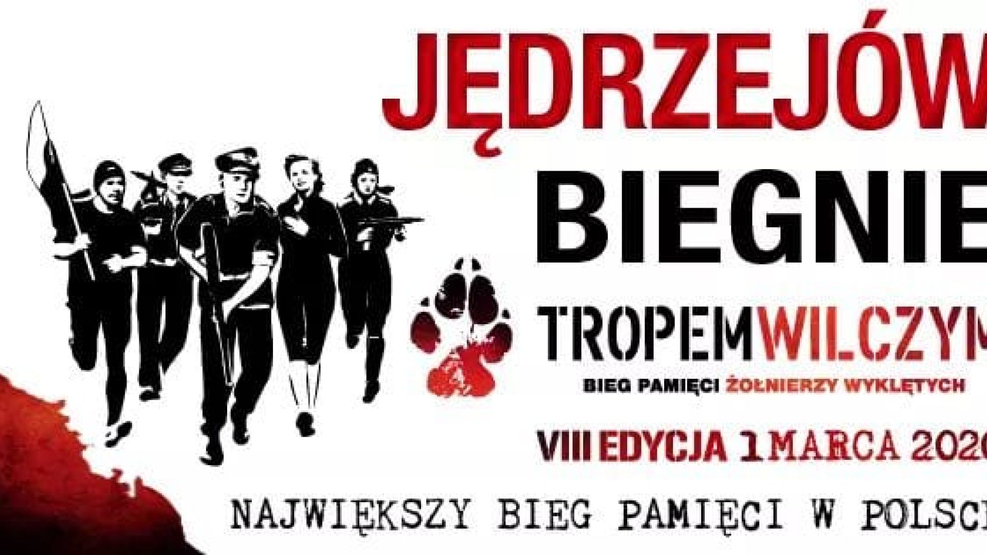 Jędrzejów biegnie tropem wilczym