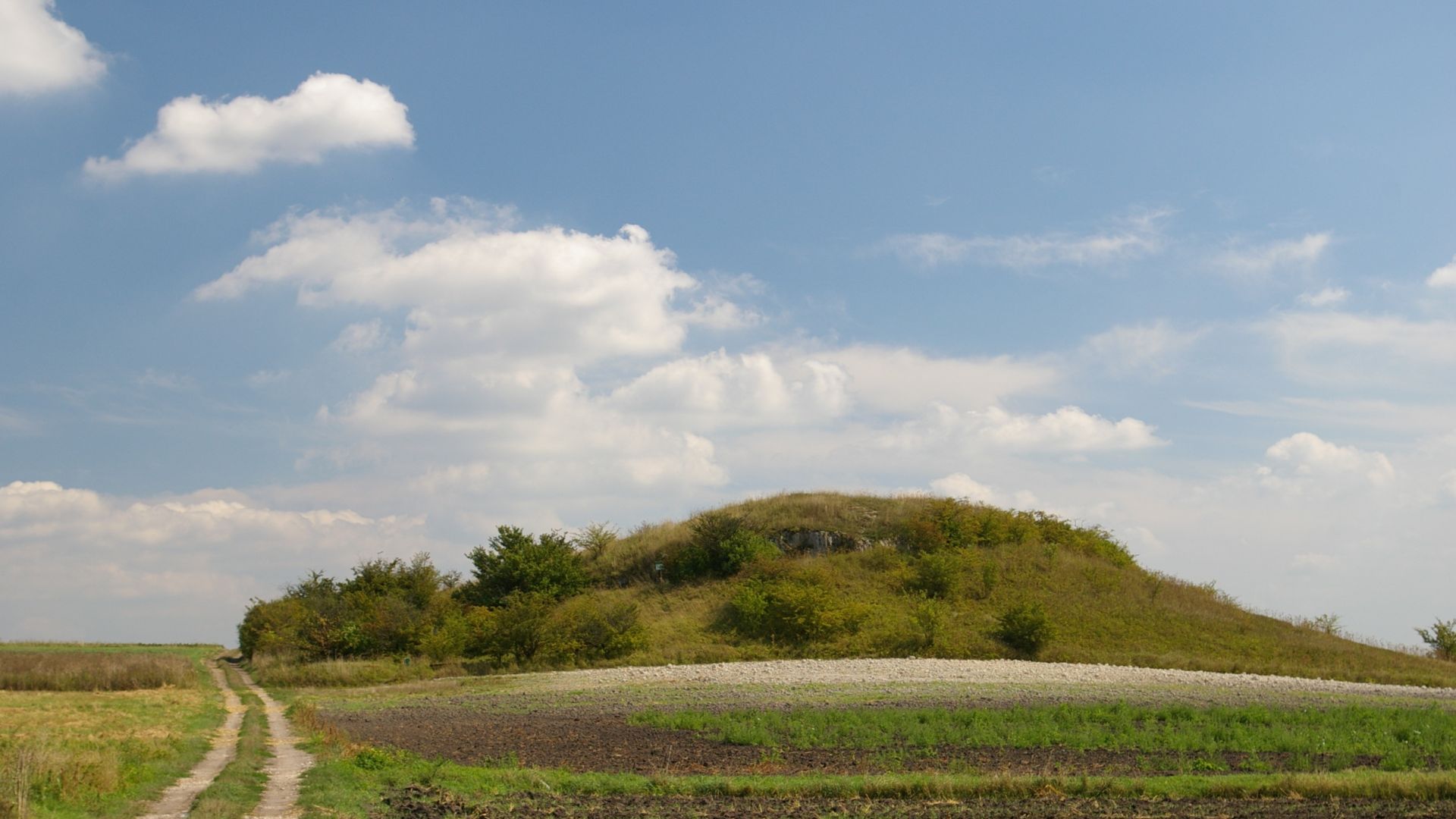 Rezerwat florystyczny „Przęślin”