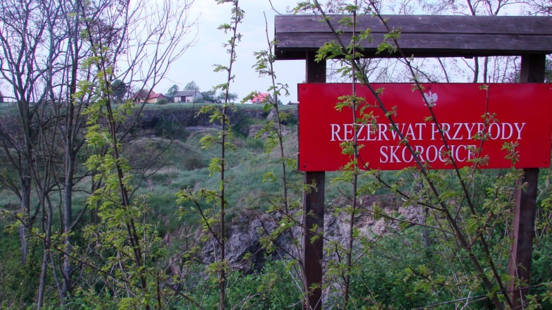 Rezerwat Skorocice