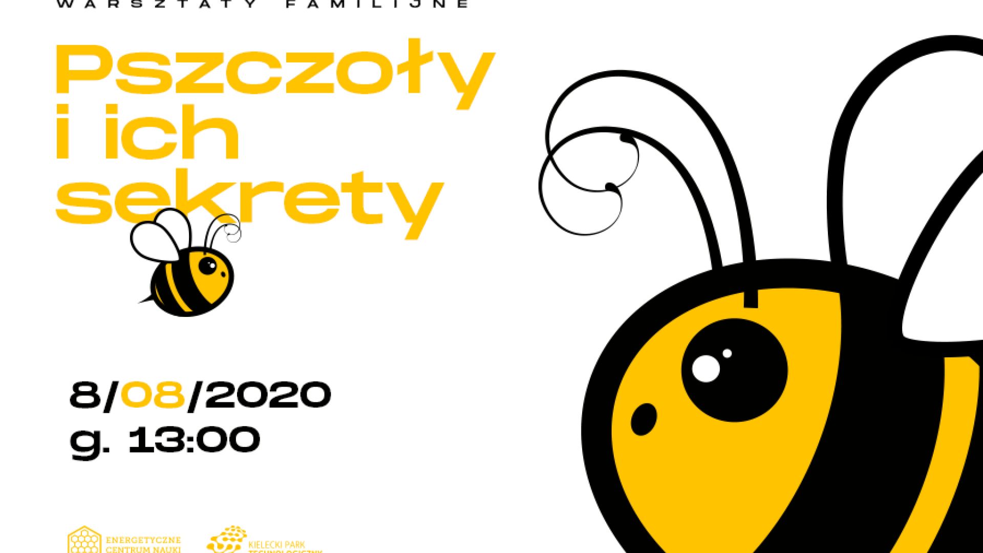 Pszczoły i ich sekrety – warsztaty familijne w Energetycznym Centrum Nauki
