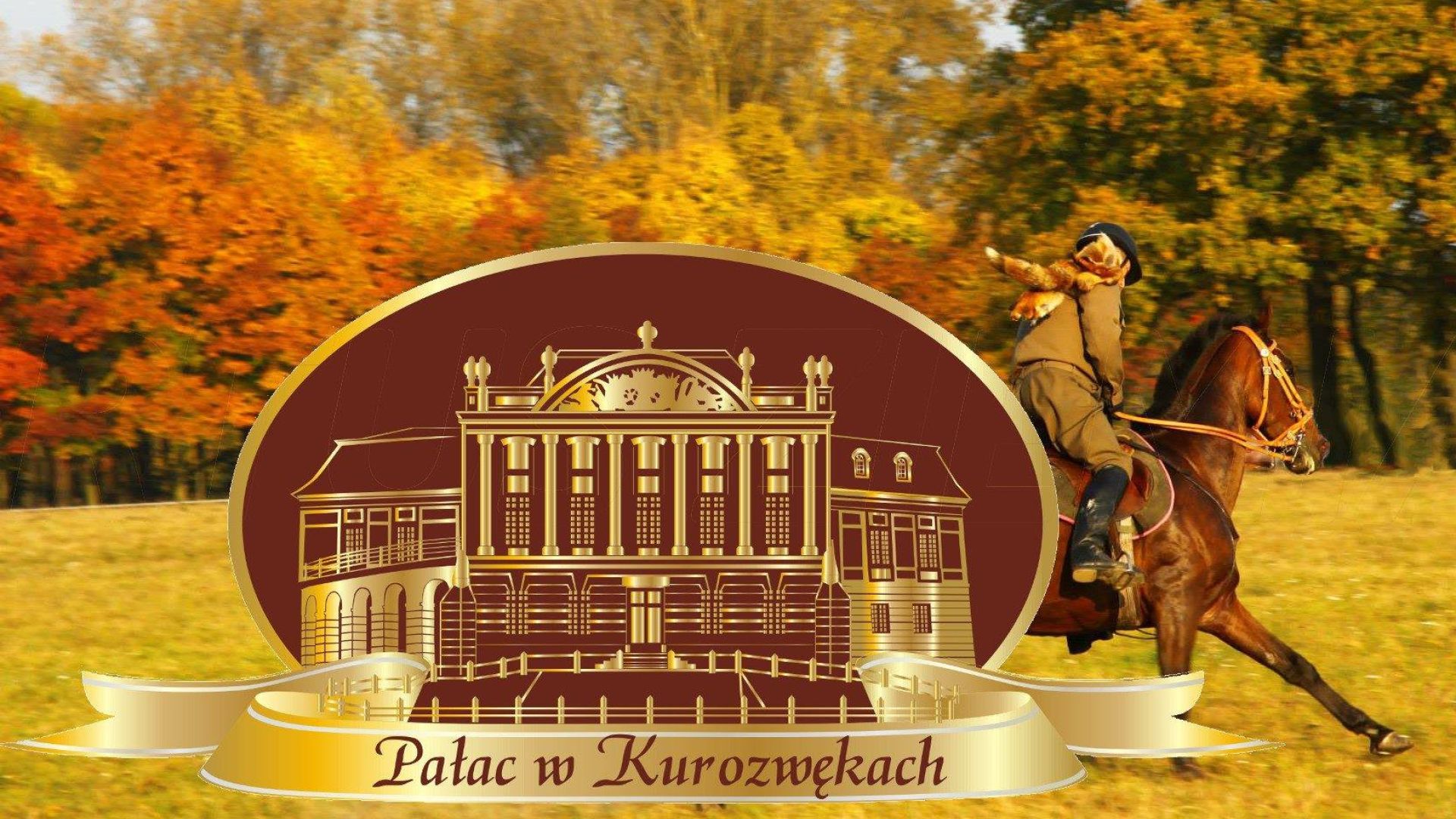 Hubertus 2020 - gonitwa za lisem w Kurozwękach
