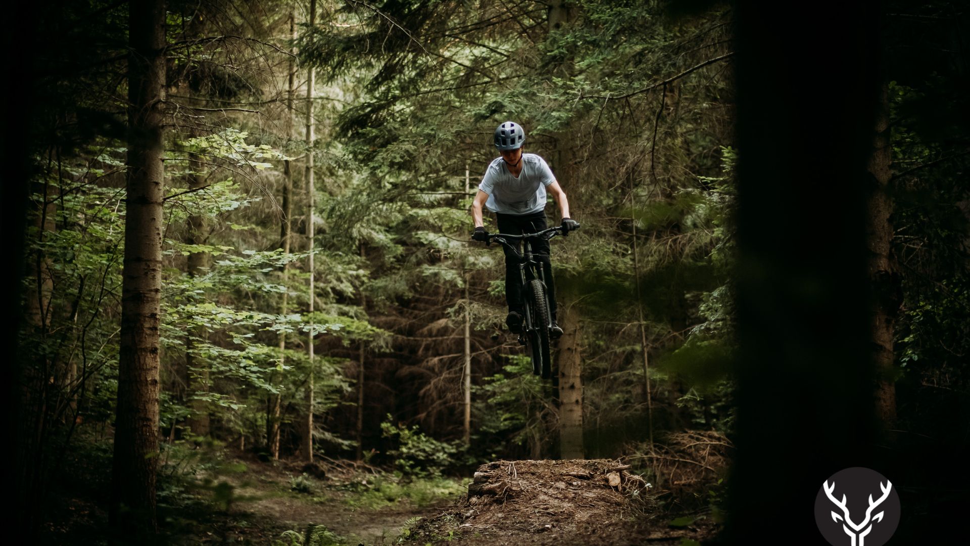 Jeleniowskie ścieżki – singletracki enduro w Paśmie Jeleniowskim