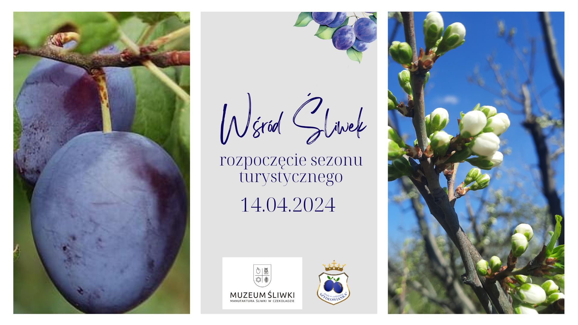 Wśród Śliwek – rozpoczęcie sezonu turystycznego