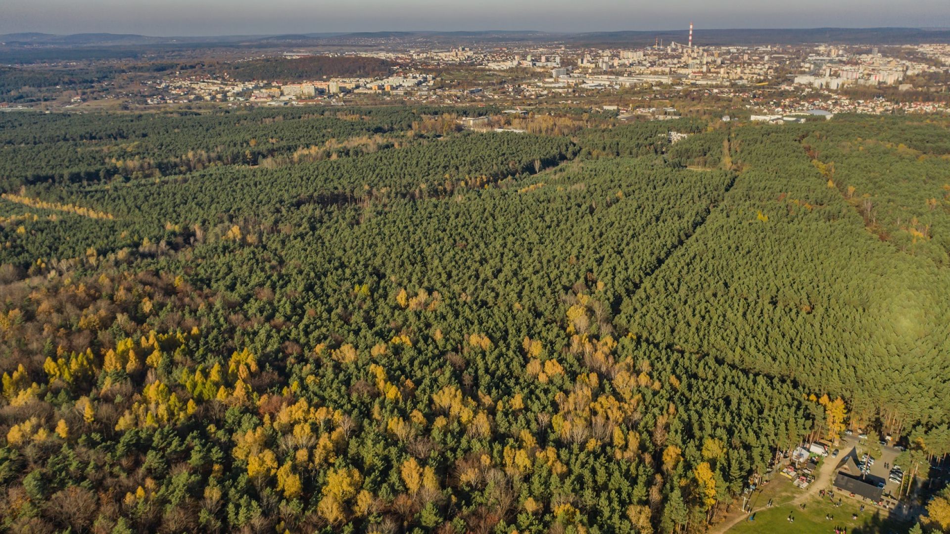 Biesak - Białogon Reserve