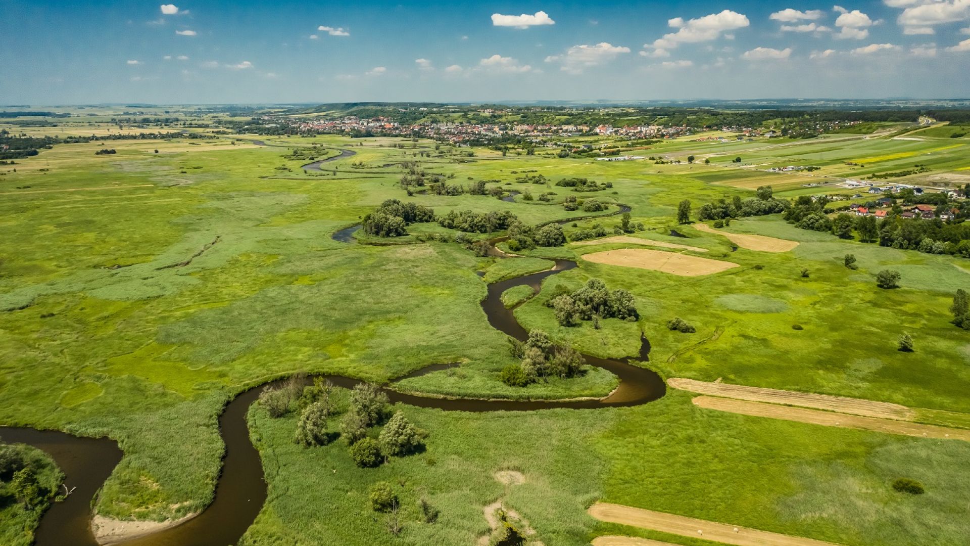 The Nadnidziański Landscape Park – River Nida Meanders in the Gypsum Land