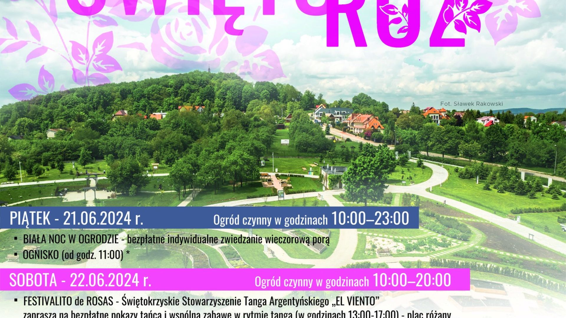 V Kieleckie Święto Róż