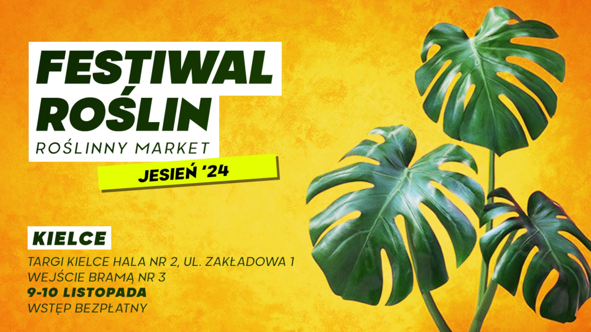 Festiwal Roślin w Kielcach