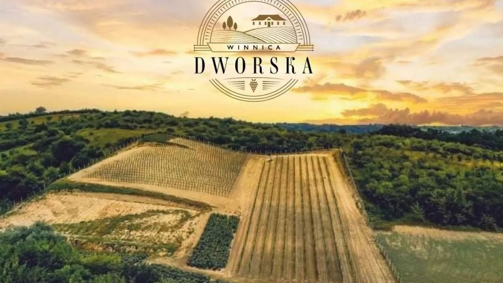 Winnica Dworska w Słupczy