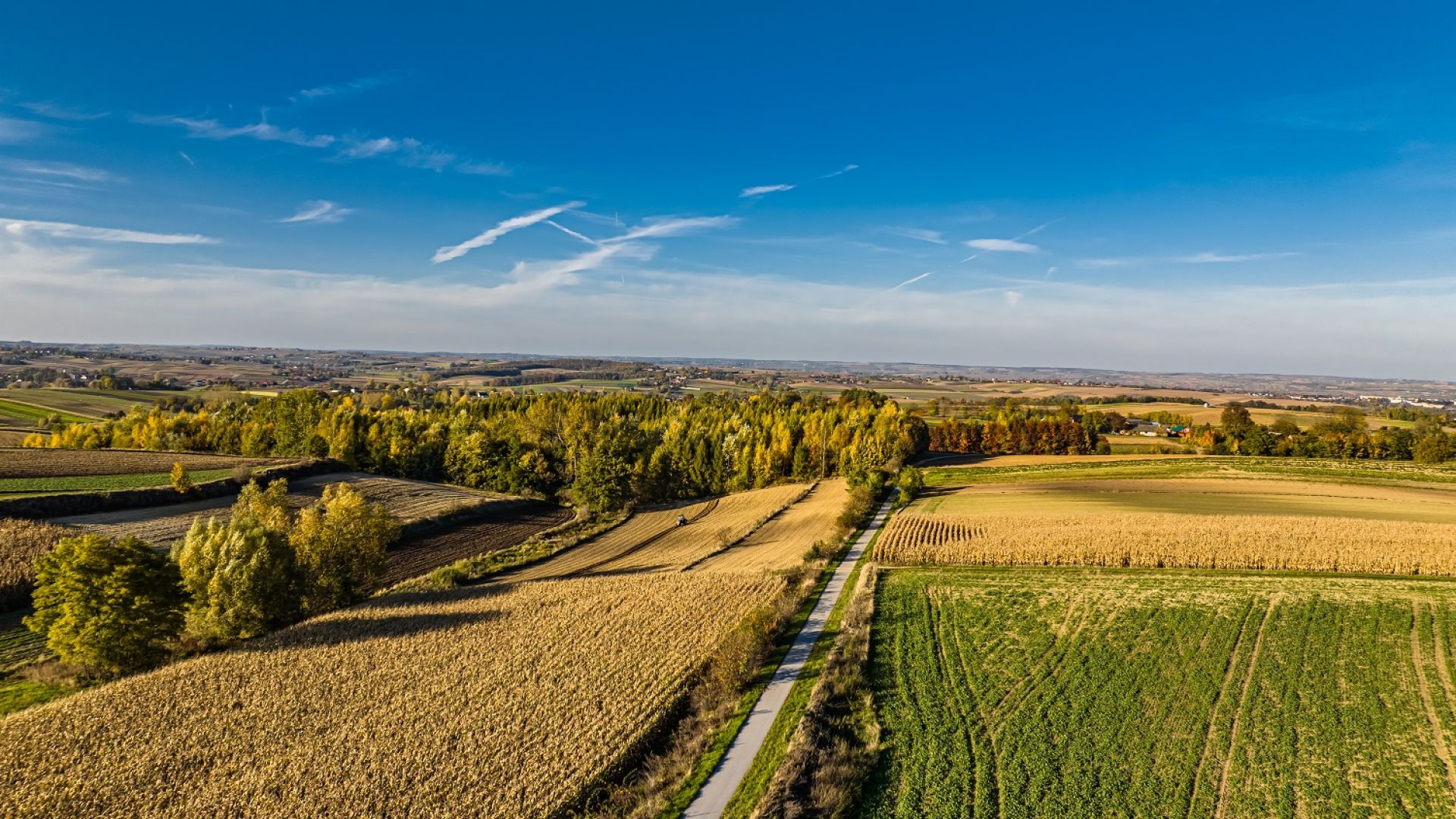 Dla aktywnych -Ścieżka rowerowa Wiślica-Kazimierza Wielka-Proszowice