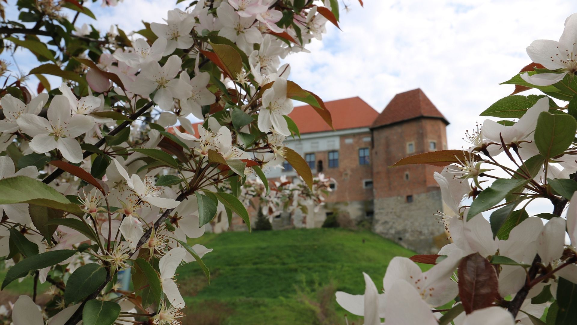 Majówka w Muzeum Zamkowym w Sandomierzu