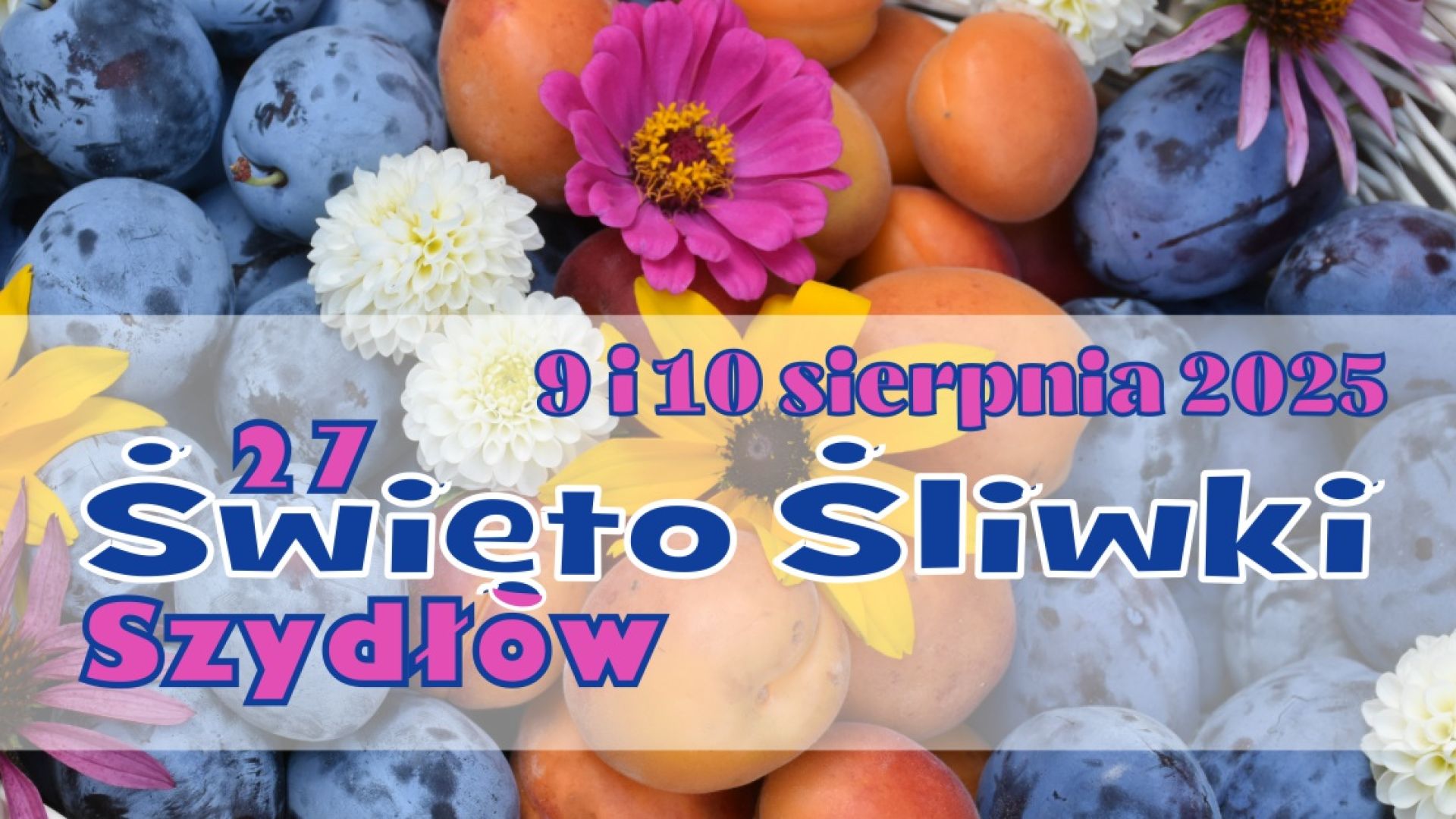27. Święto Śliwki w Szydłowie