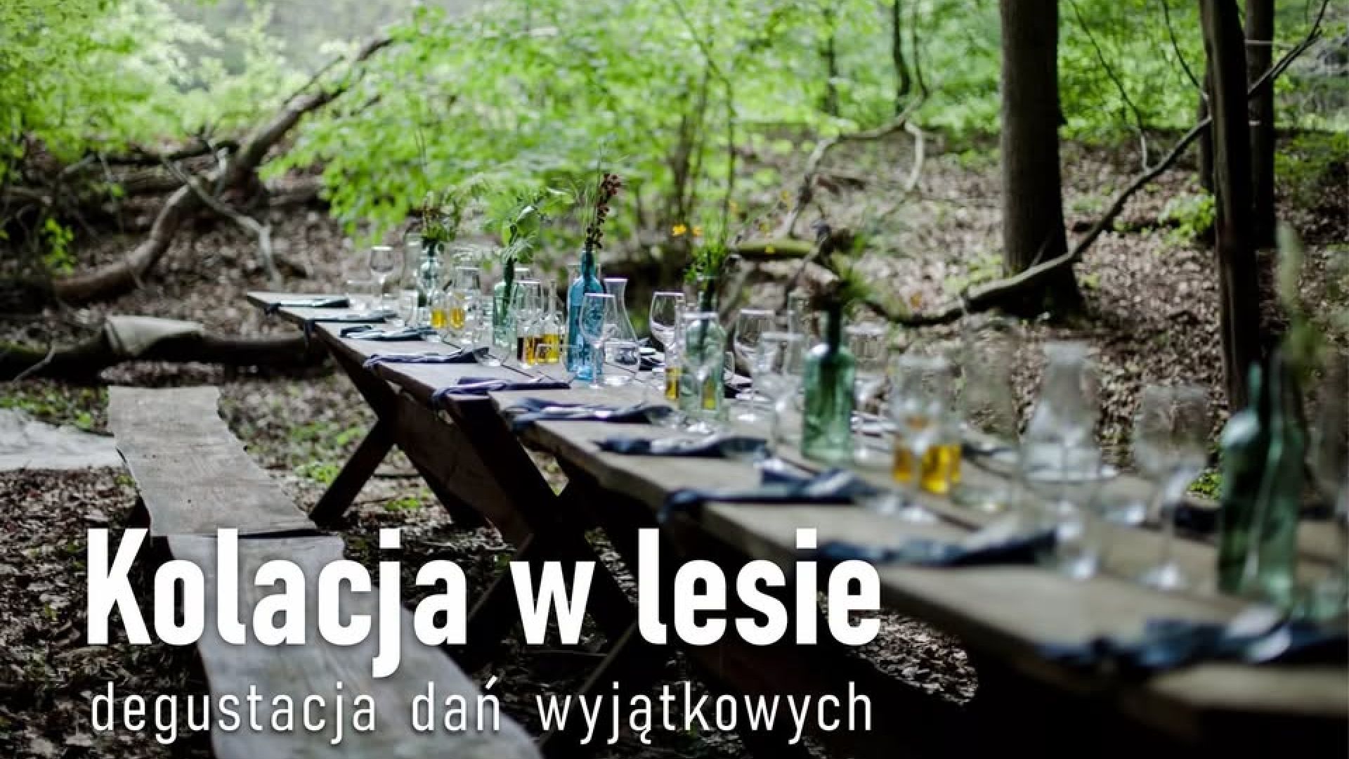 Wyjątkowa Kolacja w Lesie w Czarnieckiej Górze