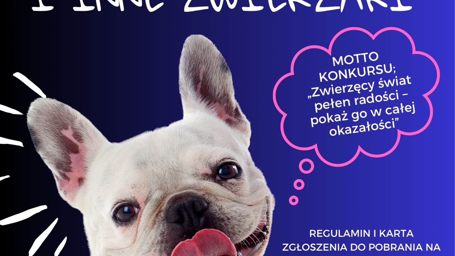 "Psiaki Kociaki i inne zwierzaki" - konkurs plastyczny