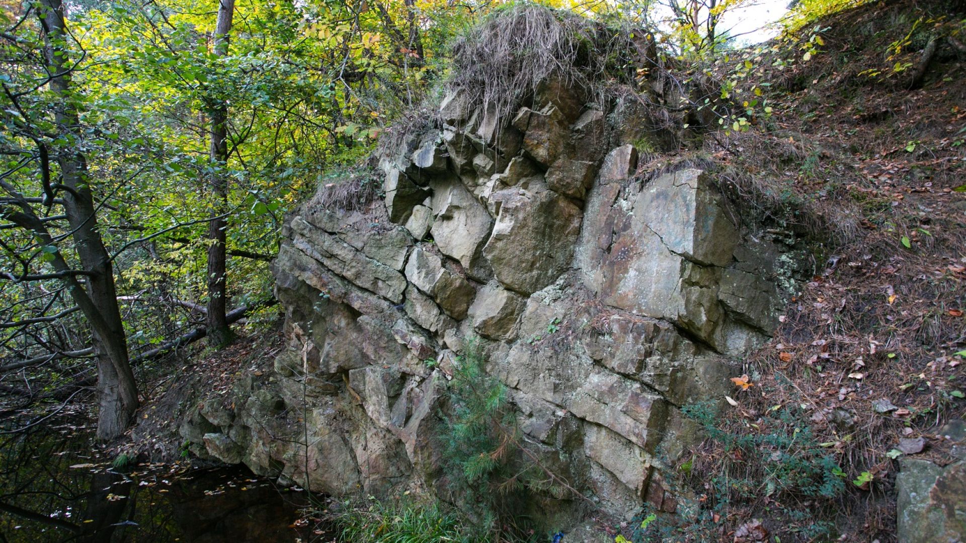 Rezerwat geologiczny Biesak-Białogon