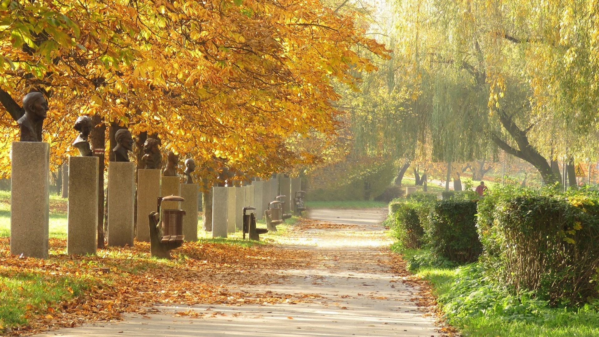 Aleja Sław w Kielcach