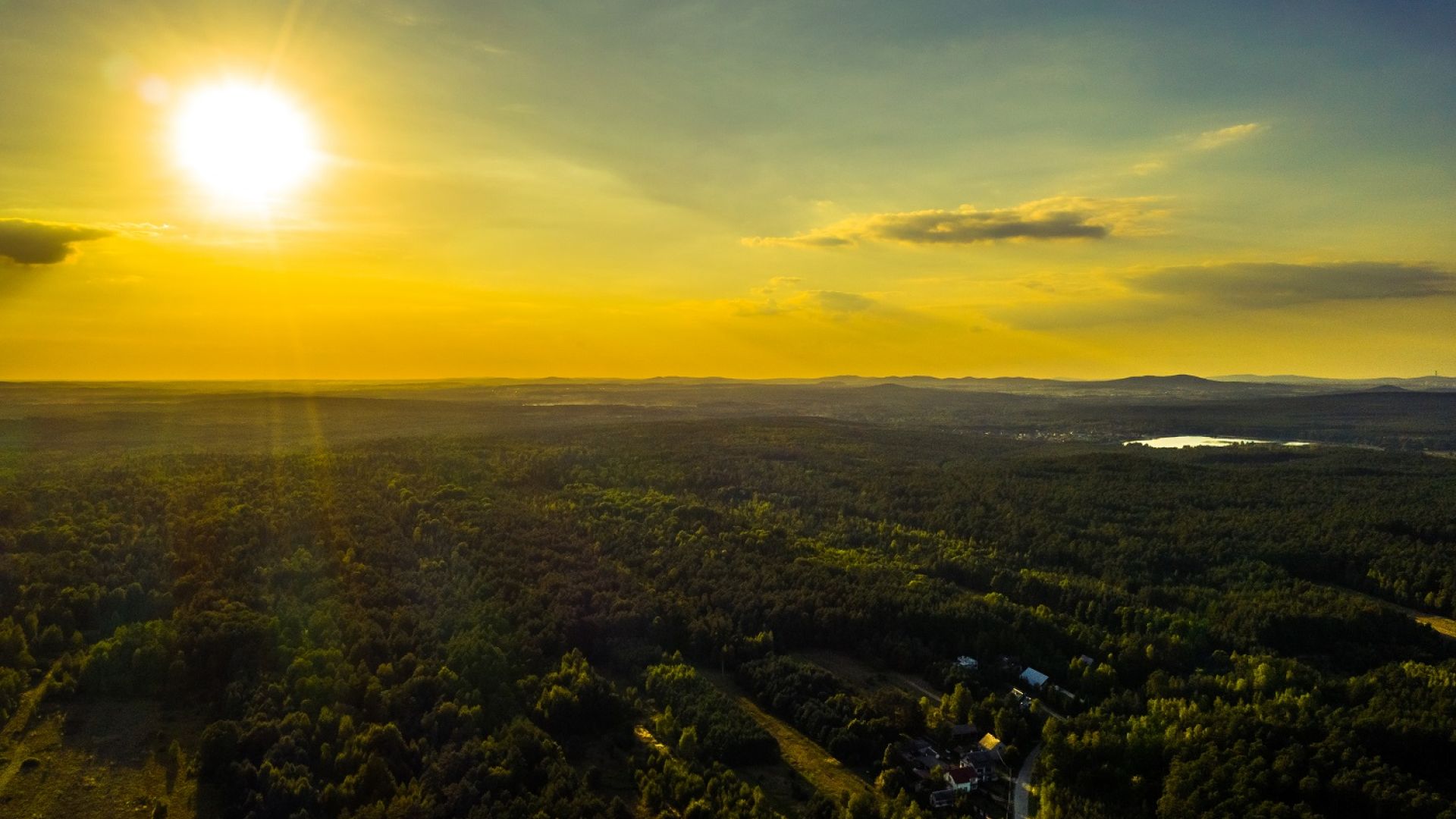 Zamczysko - Lasy Cisowskie