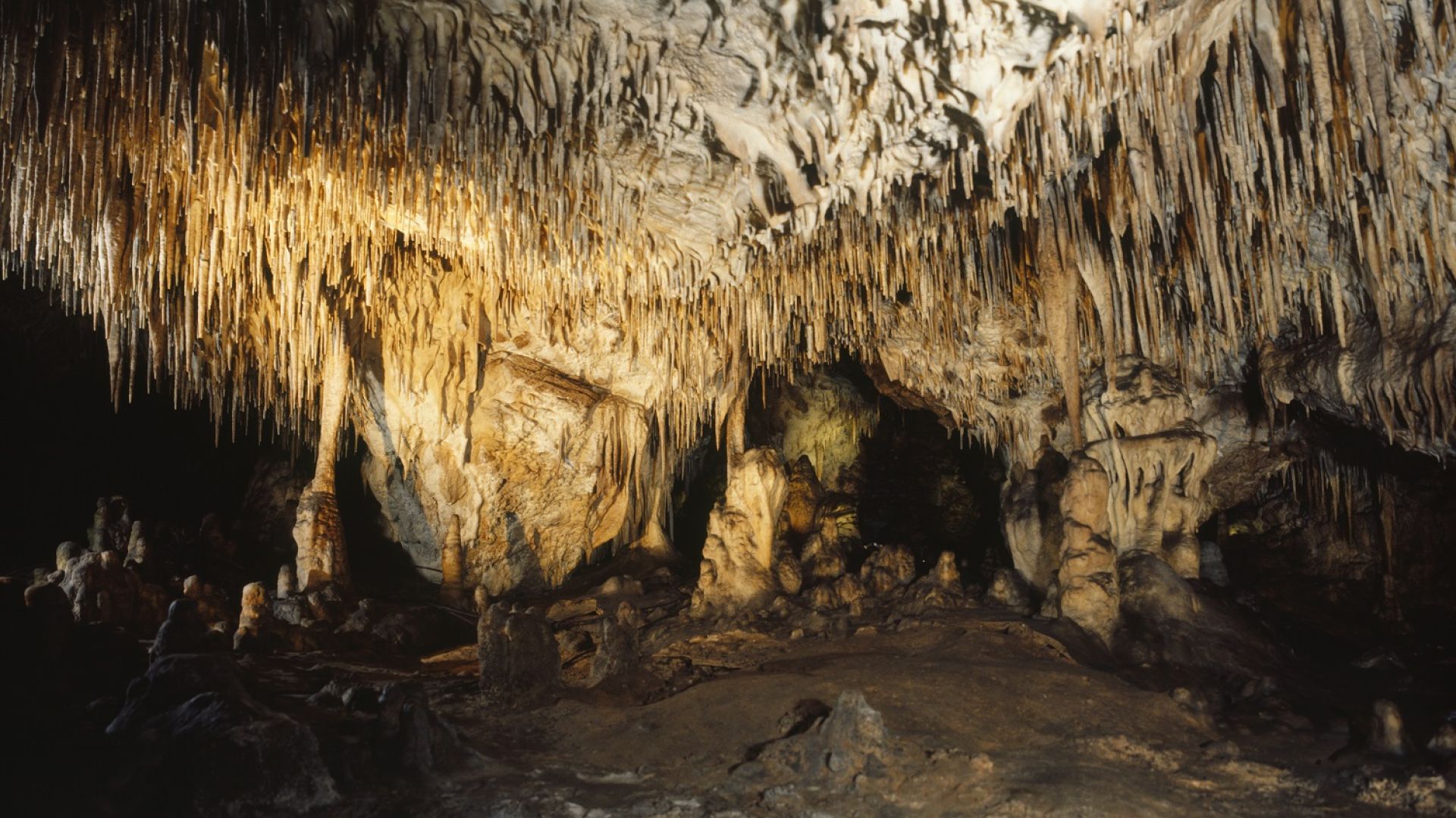 „Z Raju do Piekła” – Kompleks leśny Pasmo Zelejowskie