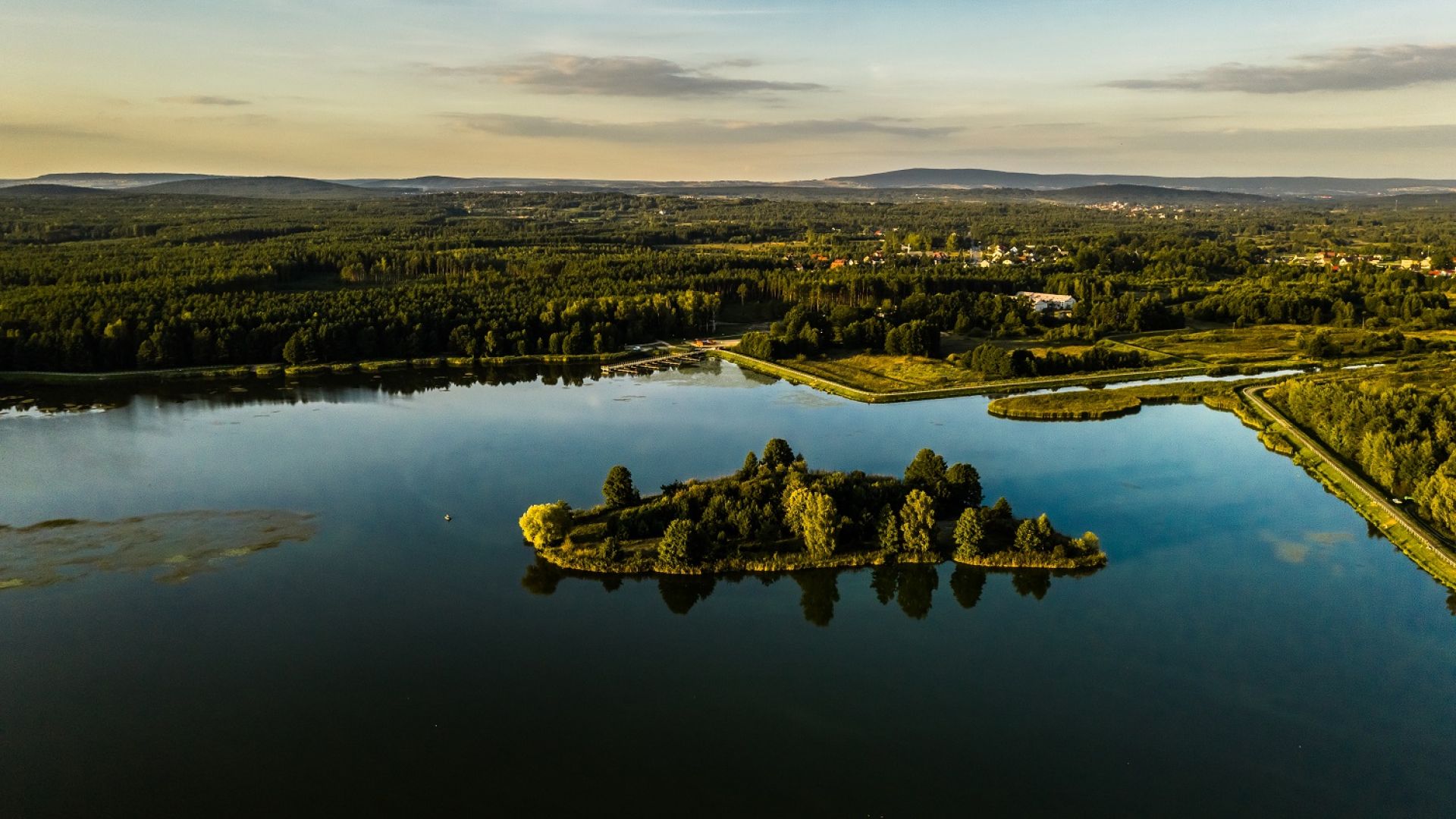 „Przez Daleszyckie Lasy” – Lasy Cisowskie