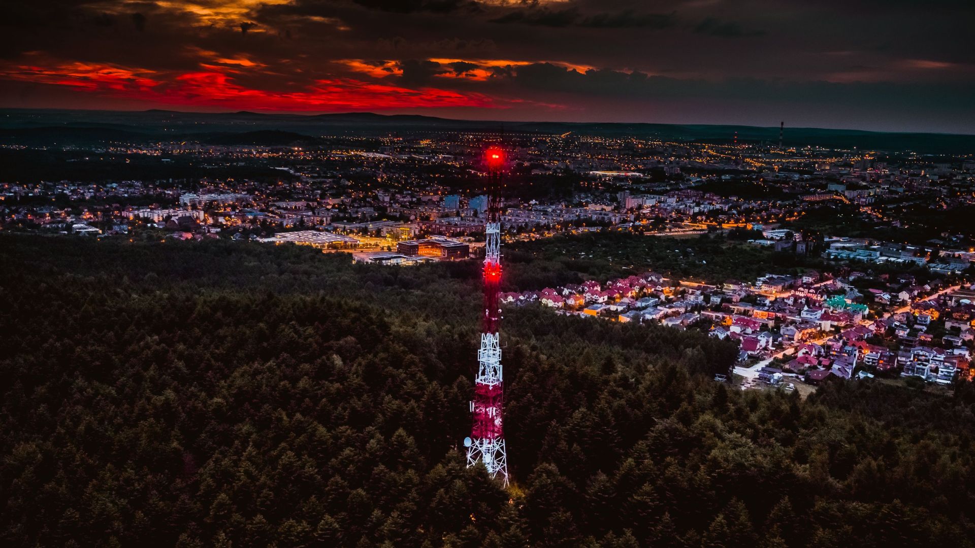 „Wokół Pierścienicy i Telegrafu” - Lasy Zgórskie