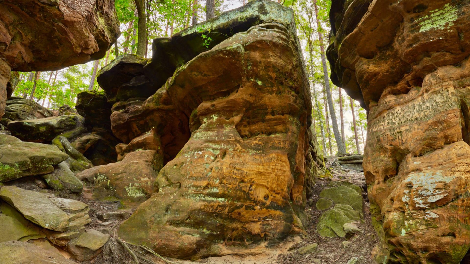 Skałki Piekło pod Niekłaniem