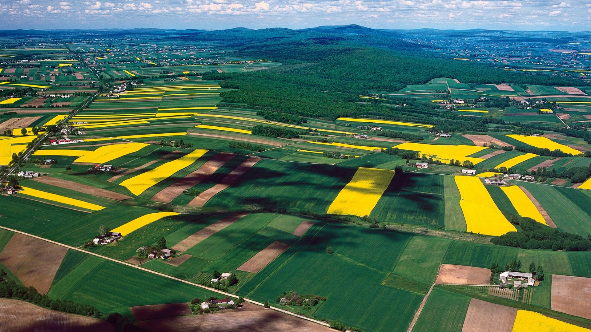 Rezerwat Małe Gołoborze