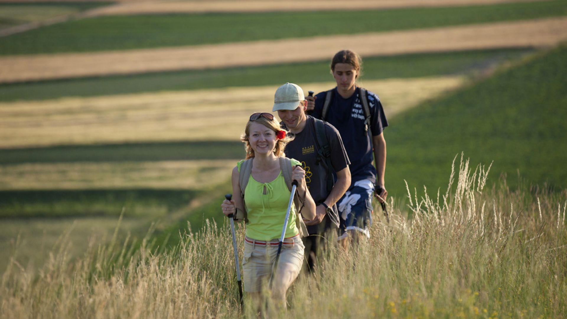 Grzbietem Pasma Brzechowskiego