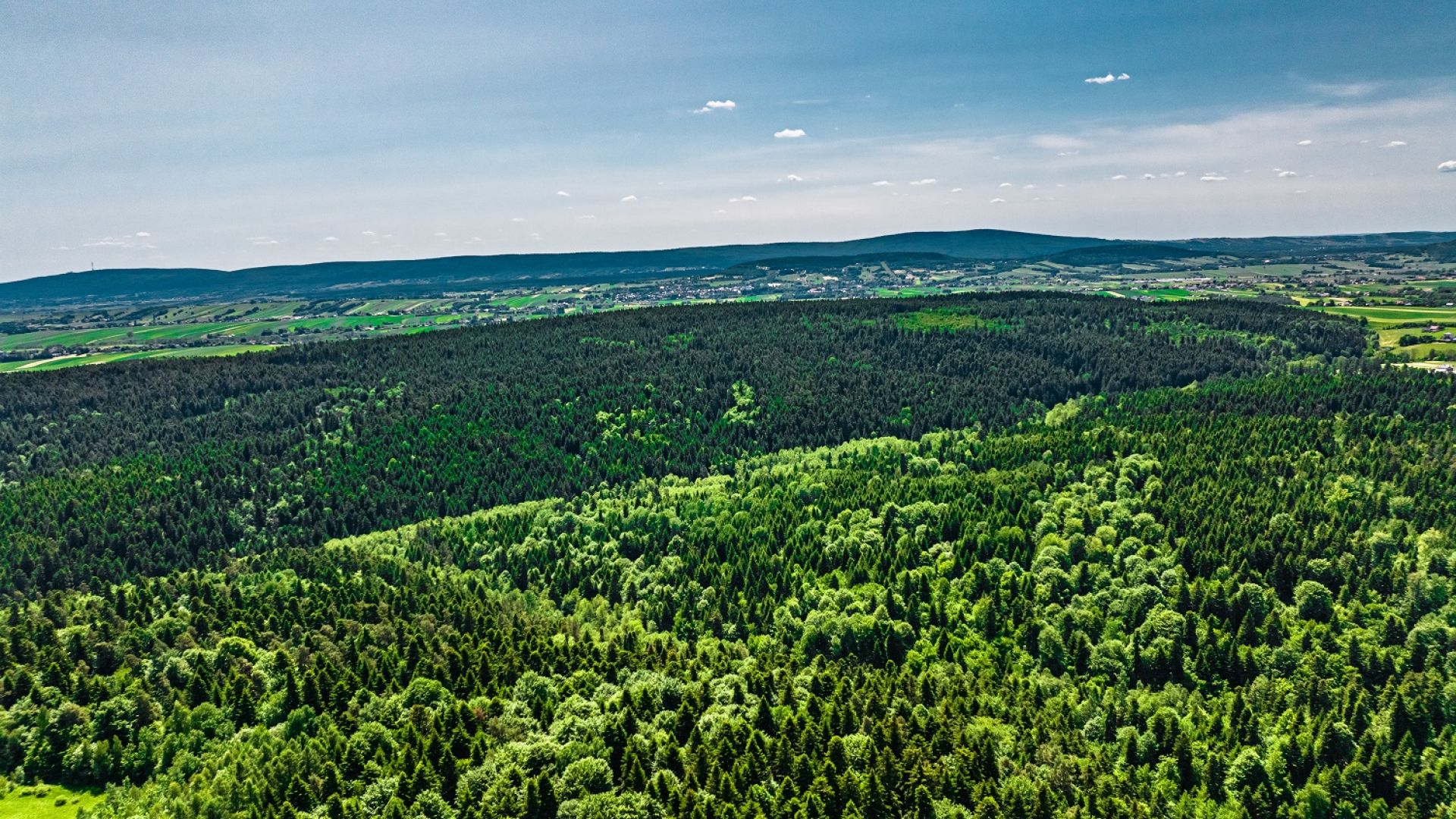 Poznajemy Sieradowicki Park Krajobrazowy
