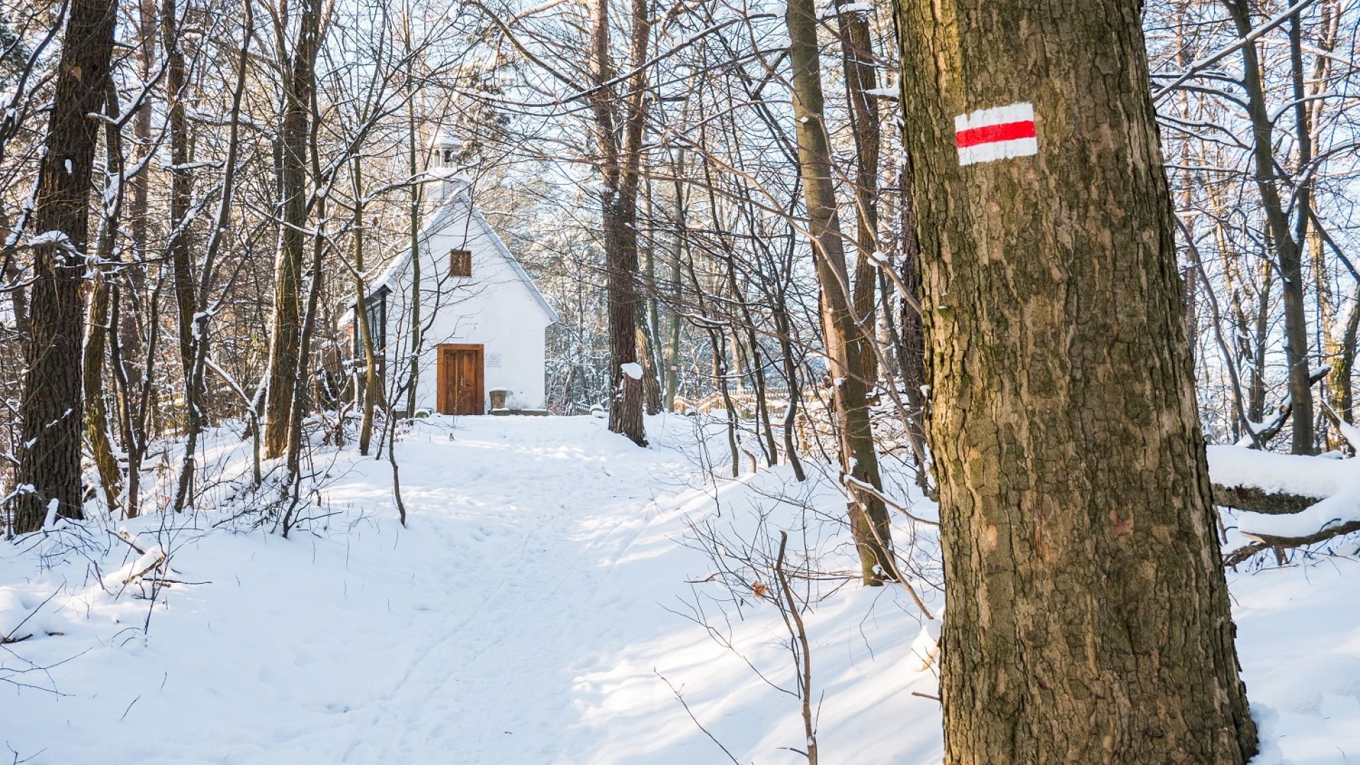 Rezerwat "Kręgi Kamienne"