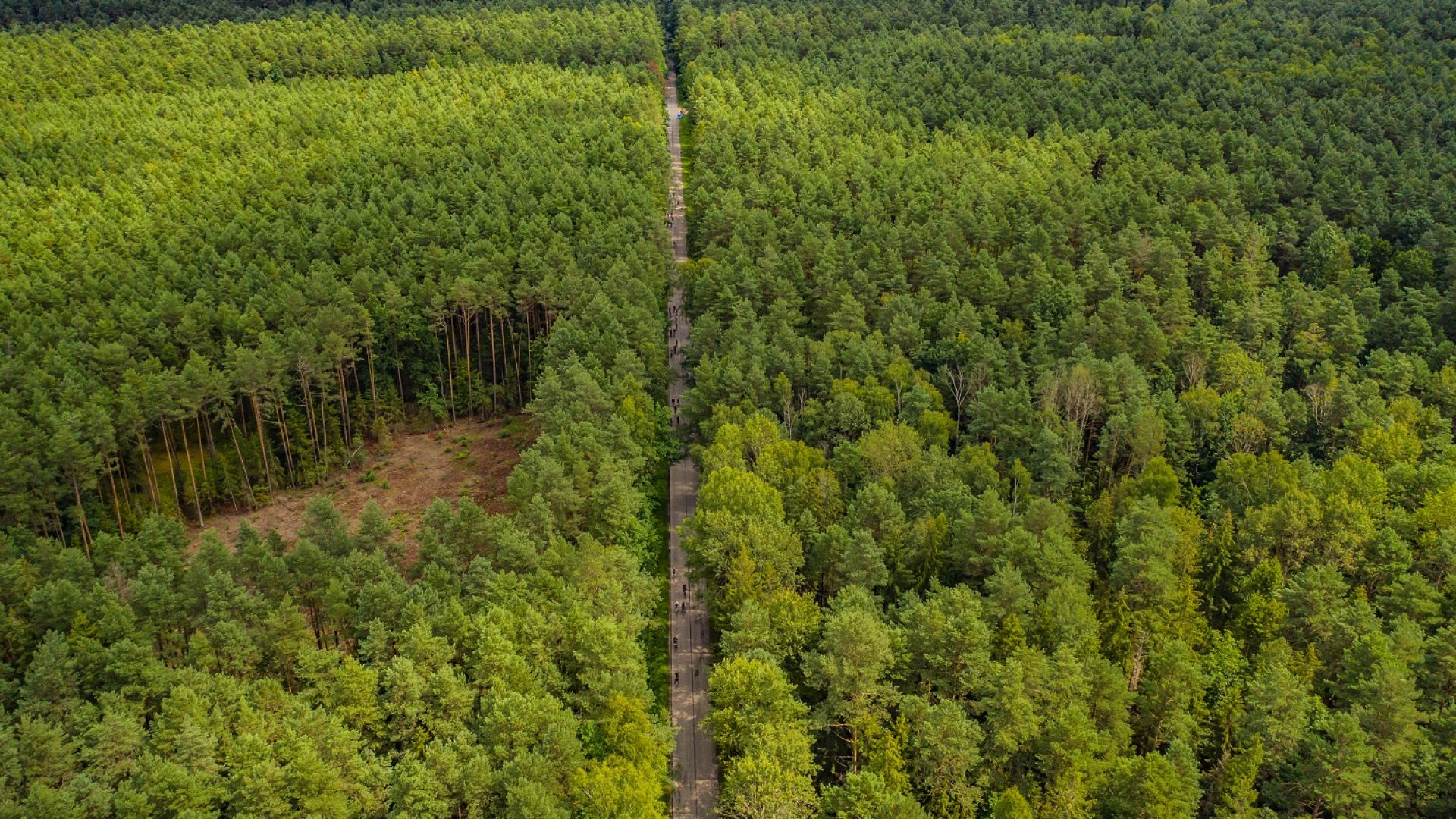 Rezerwat Świnia Góra