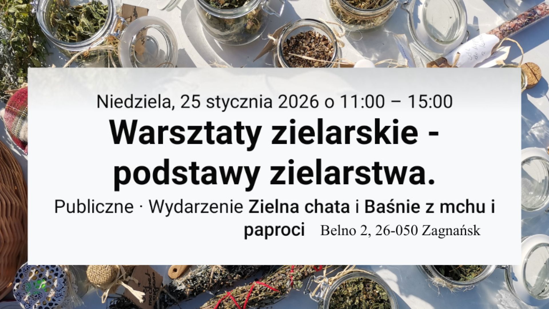 Warsztaty zielarskie - podstawy zielarstwa w Belnie