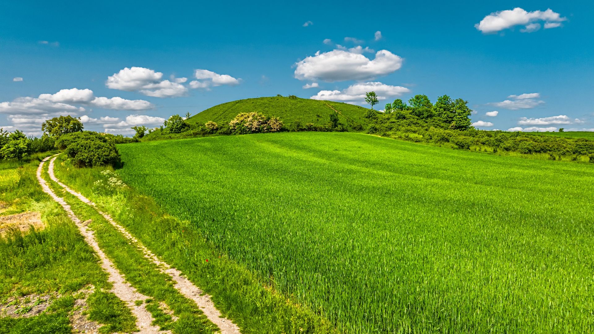 Szlakiem czerwonym z Buska-Zdroju przez rez. Owczary i Górę Kapturową