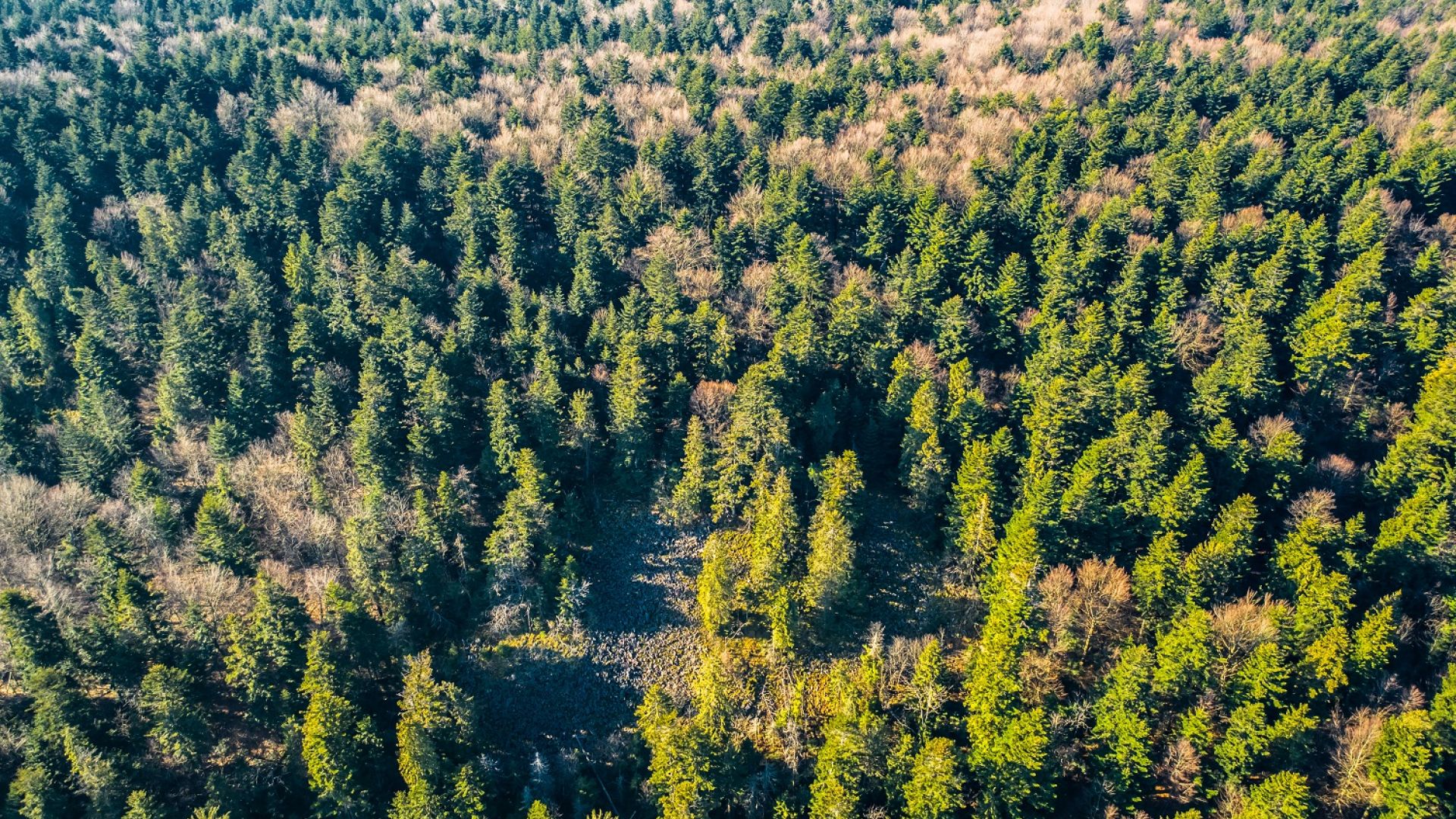 Piesza wyprawa w Góry Świętokrzyskie