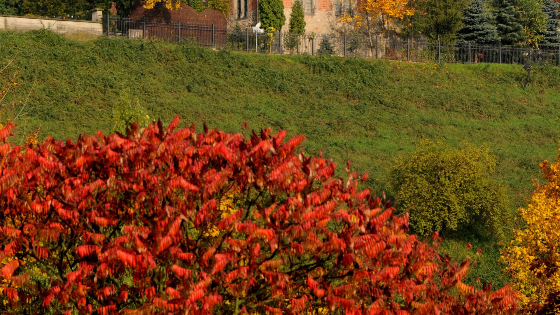 Dom Długosza - Muzeum Diecezjalne w Sandomierzu
