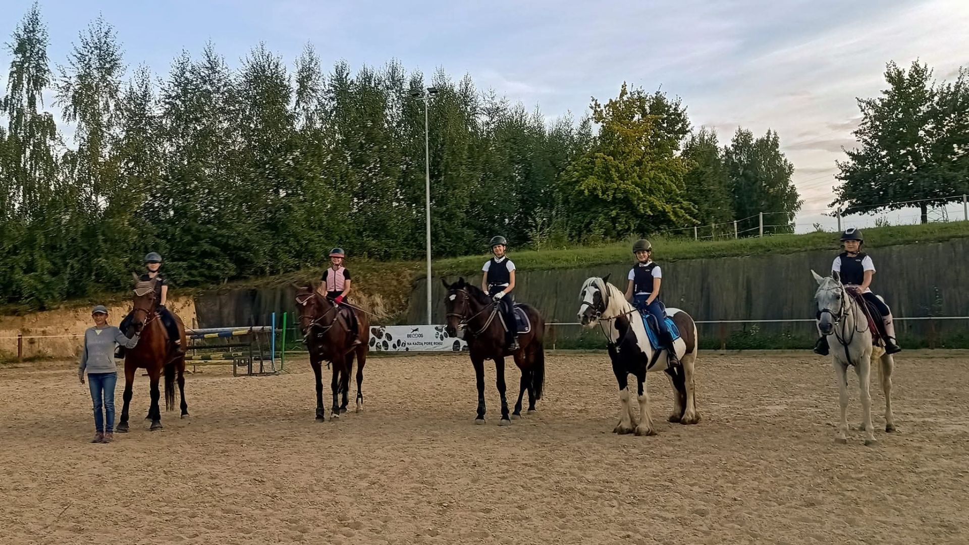 Collina Jeździectwo i behawiorystyka zwierząt